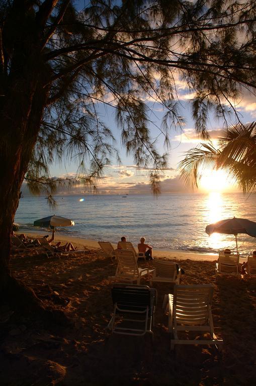 Starfish Discovery Bay Holetown Ngoại thất bức ảnh